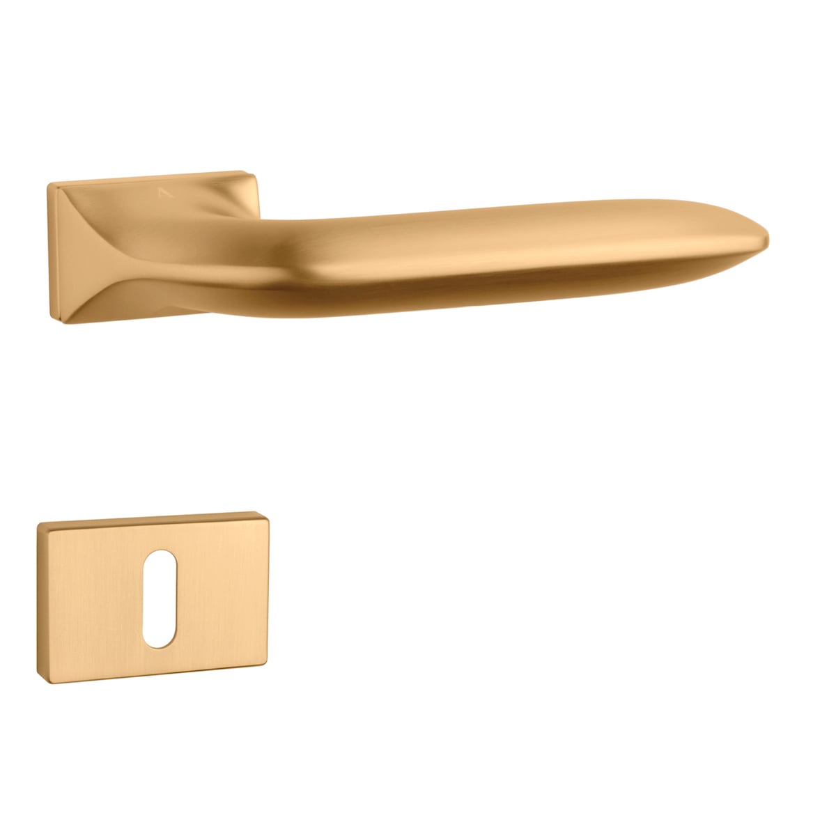 AS - GLADIOLA - RT 7S