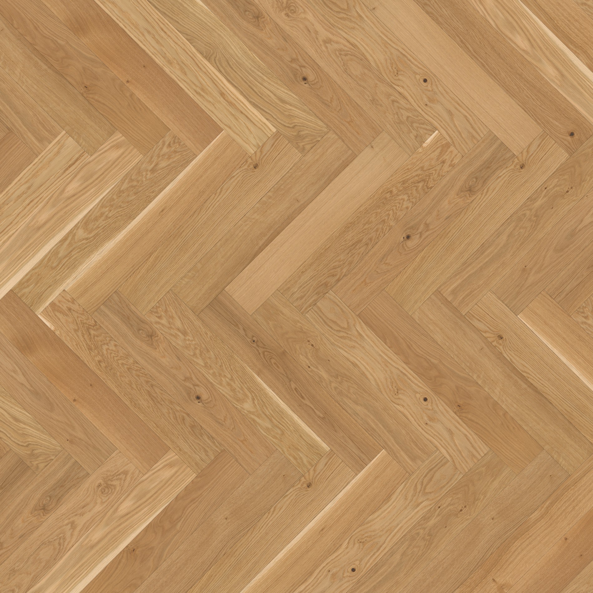 Engineered Wood Flooring Trendtime 3 Living, Dub olej plus široká lamela M4V 1739935, 570x95x10,5 mm