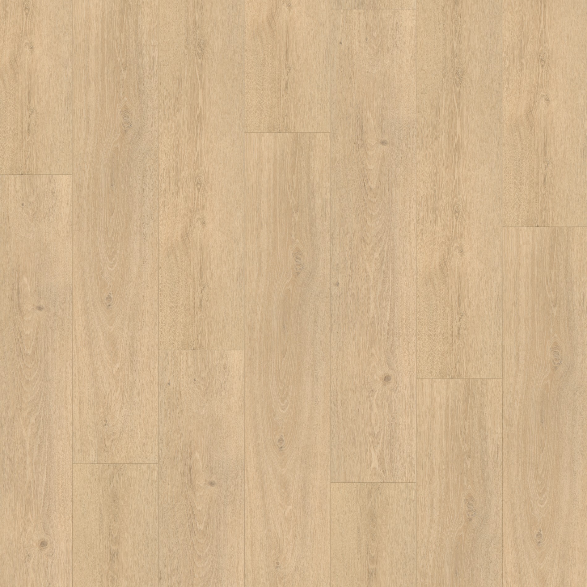 Parador SPC Basic 5.3 Dub Studioline pieskový 1743008 5,3 mm 23/31 4V Kartáčovaná štruktúra 1-lamela