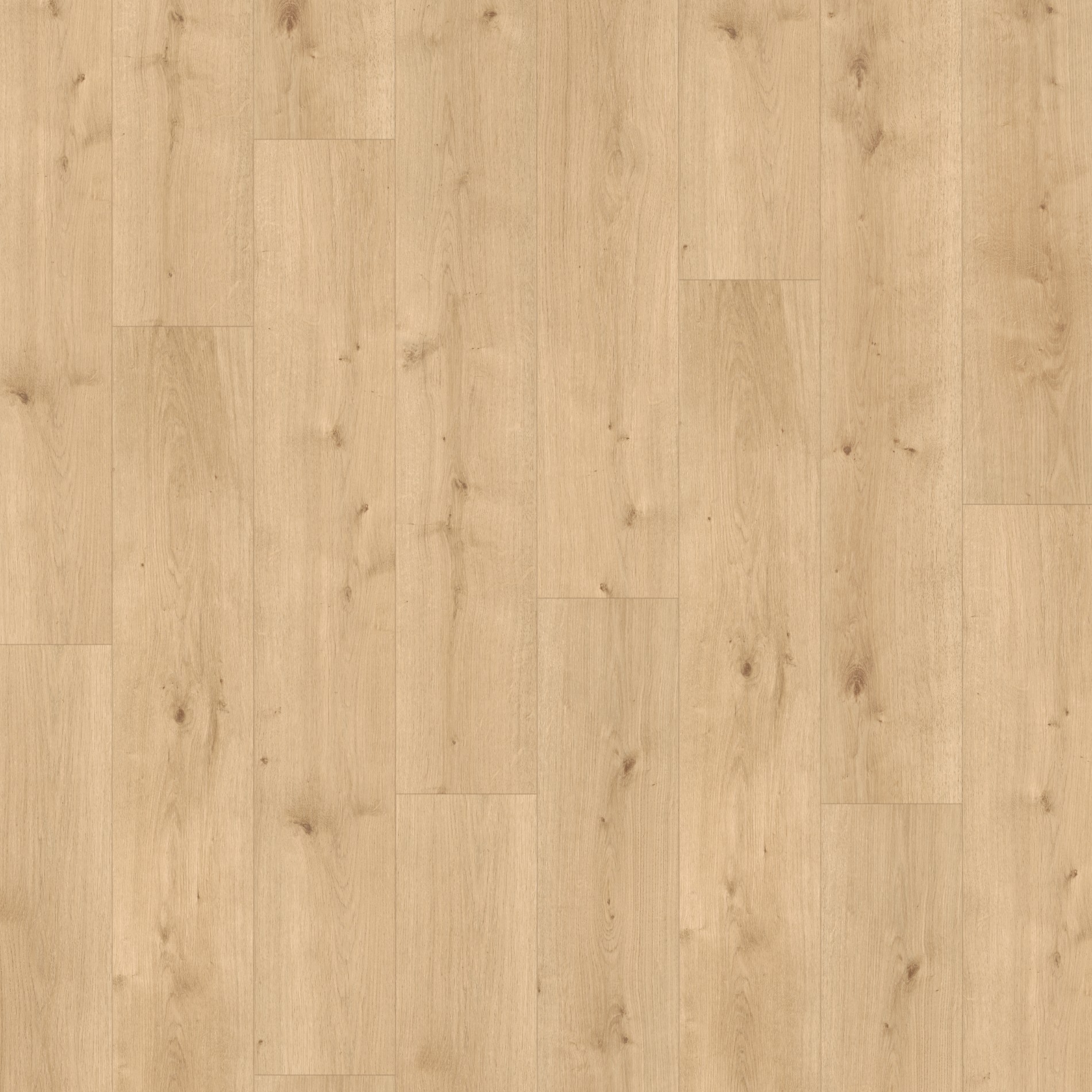Parador Modular ONE Dub Pure svetlý 1730767 8 mm trieda 33 M4V Štruktúra dreva 1-lamela