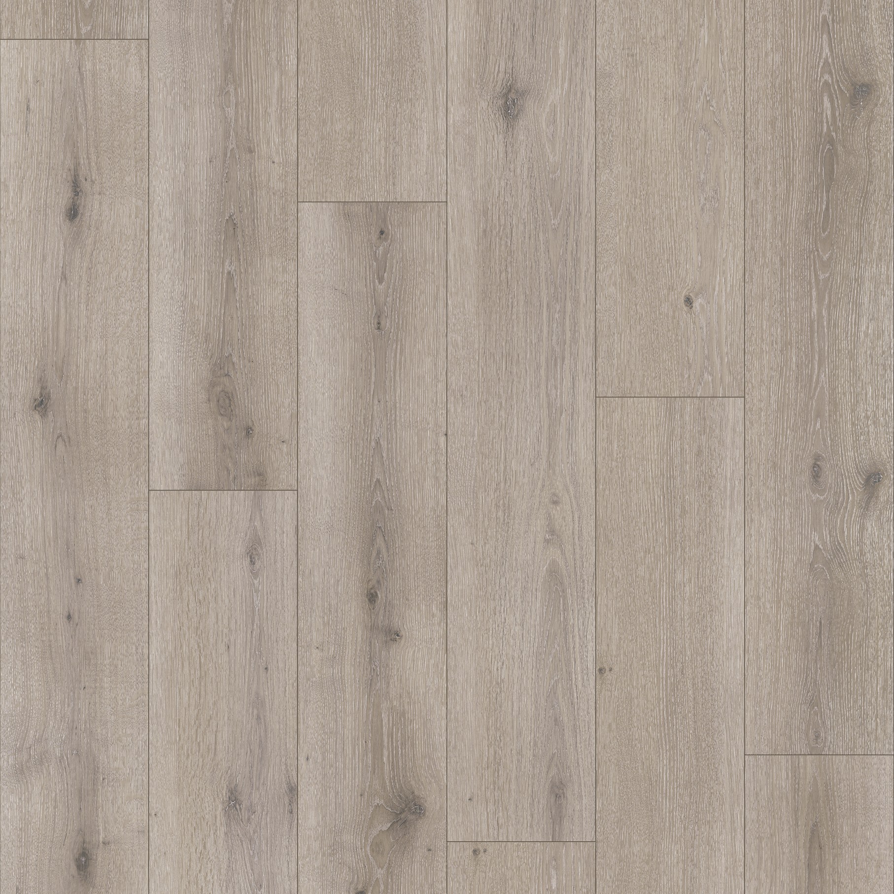 Parador Modular ONE Dub Urban šedý bielený 1730771 8 mm trieda 33 M4V Štruktúra dreva 1-lamela