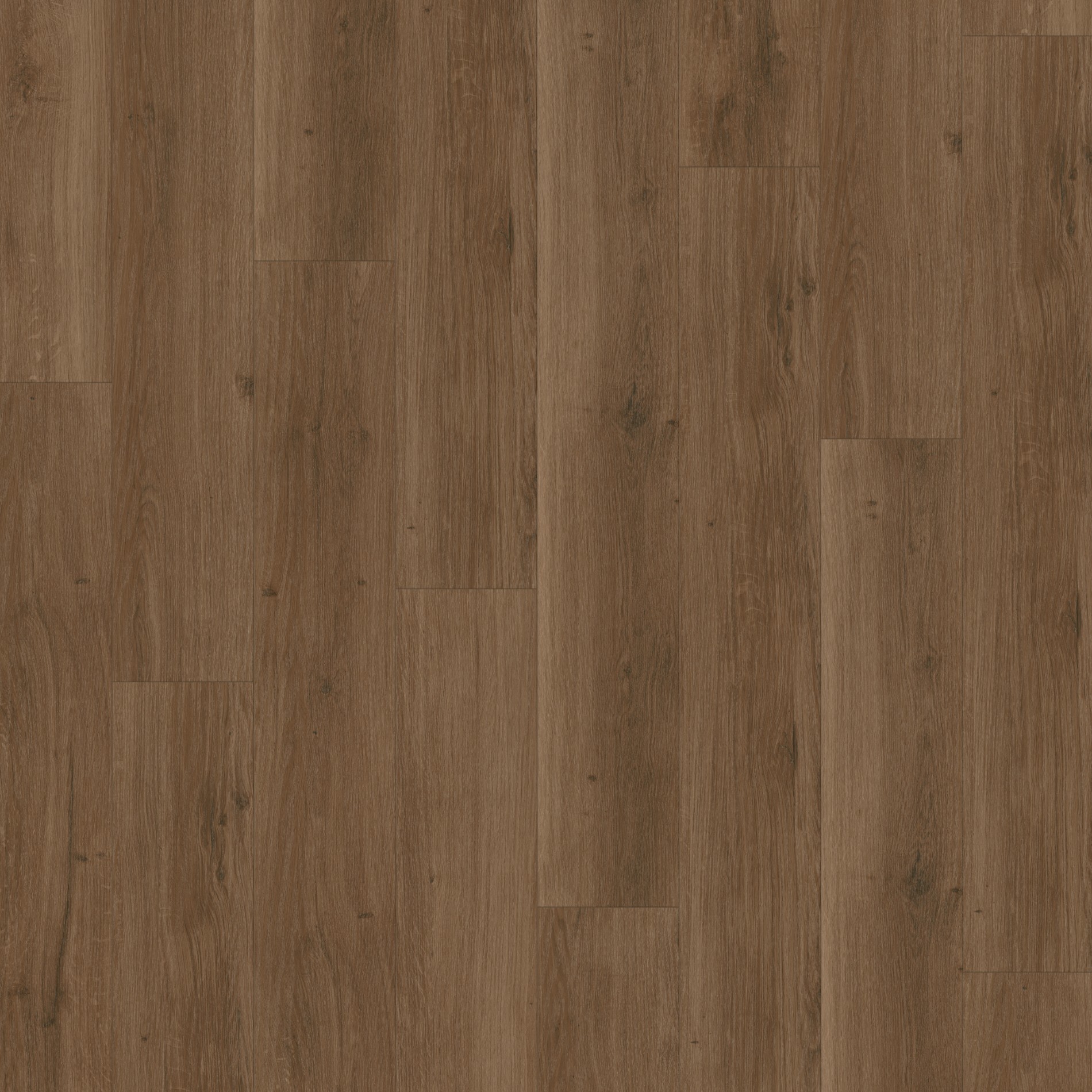 Parador Modular ONE Dub Spirit dymový 1730773 8 mm trieda 33 M4V Štruktúra dreva 1-lamela