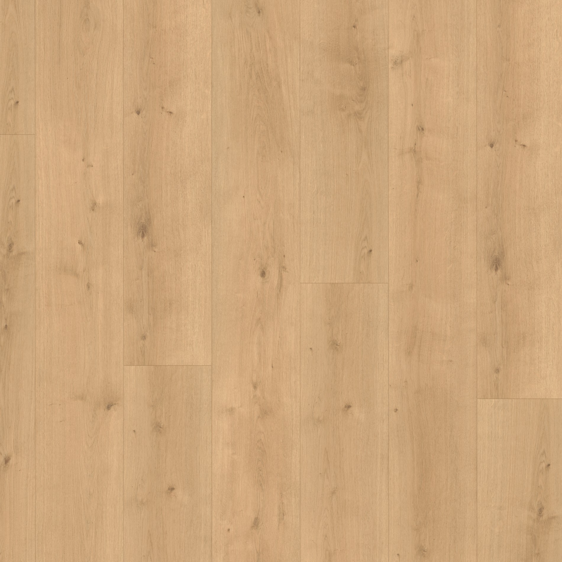 Parador Modular ONE Chateau plank Dub Pure prírodný štruktúra dreva 1 široká lamela M4V, 1730802, 2200x235x8 mm