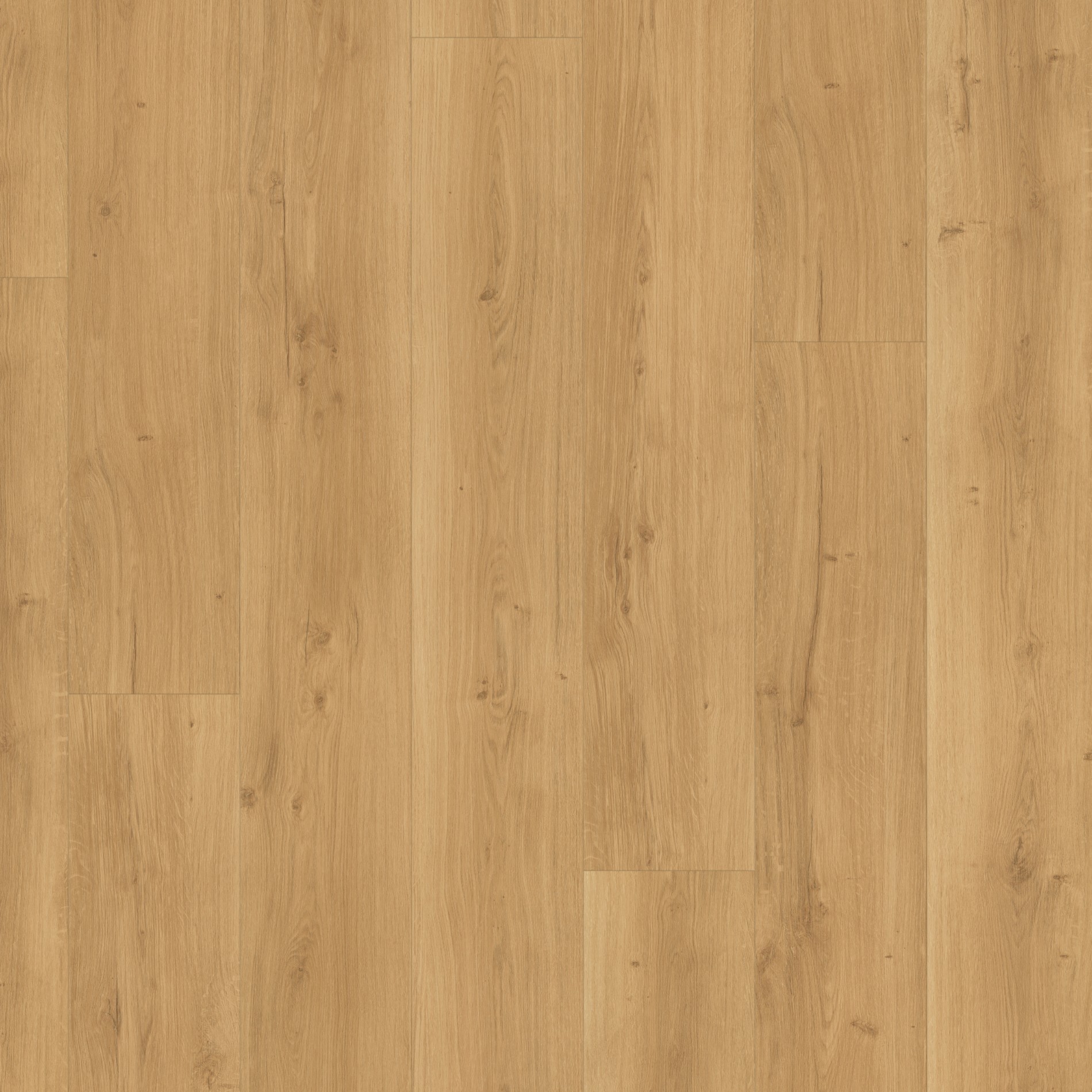 Parador Modular ONE Chateau plank Dub Spirit prírodný štruktúra dreva 1 široká lamela M4V, 1730808, 2200x235x8 mm