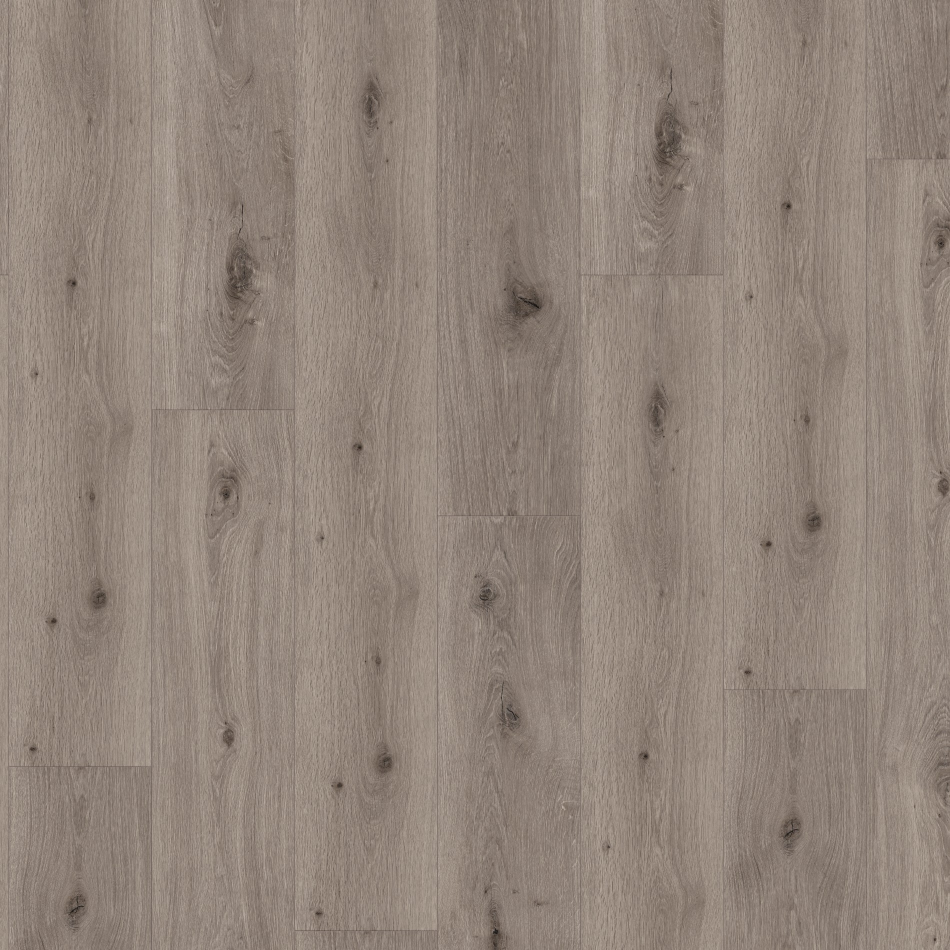 Parador SPC Trendtime 8 Dub Imperial šedý svetlý autentická štruktúra široká lamela V-drážka 1744828 1522x225x6 mm