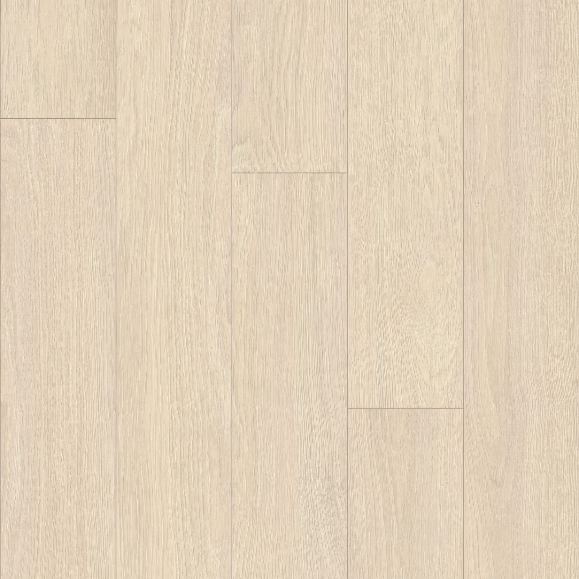 Atlantic 8 Dub Cream Darcy K844 EIR DY 8 mm AC4/32 4V 1clic2go pure+