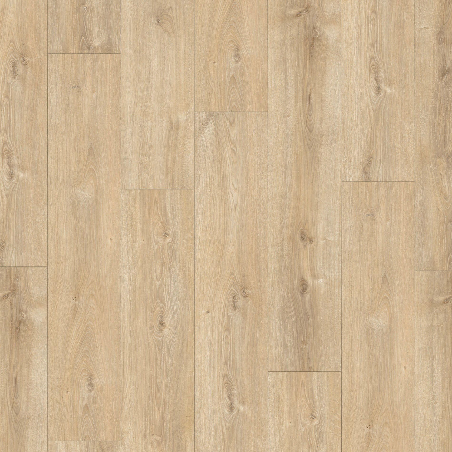 Parador Basic 600 Dub Nova svetlý bielený prírodná štruktúra široká lamela M4V 1744353 1285x243x8 mm