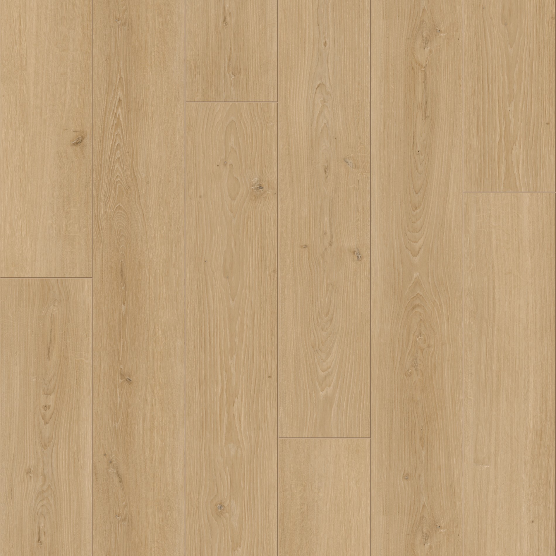 Parador Trendtime 6 Dub Studioline prírodný prírodná štruktúra V-drážka 1601102 2200x243x9 mm