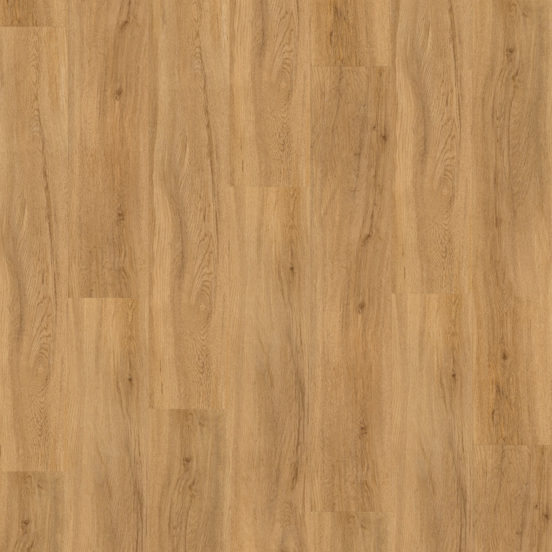 Vinyl Parador Basic 2.0 Dub Sierra prírodný kartáčovaná štruktúra široká lamela, 1730791, 1219x229x2 mm